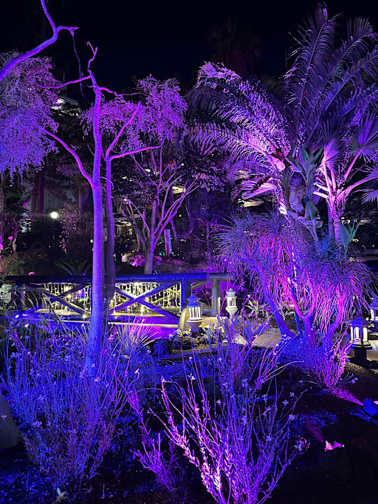 Gartenanlage Hotel Parque Tropical