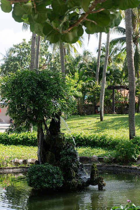 Gartenanlage Seahorse Resort & Spa