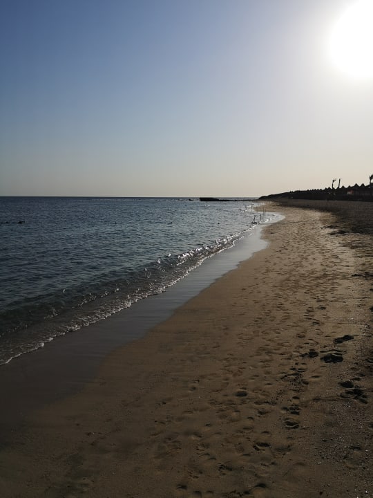 Strand Malikia Resort Abu Dabbab