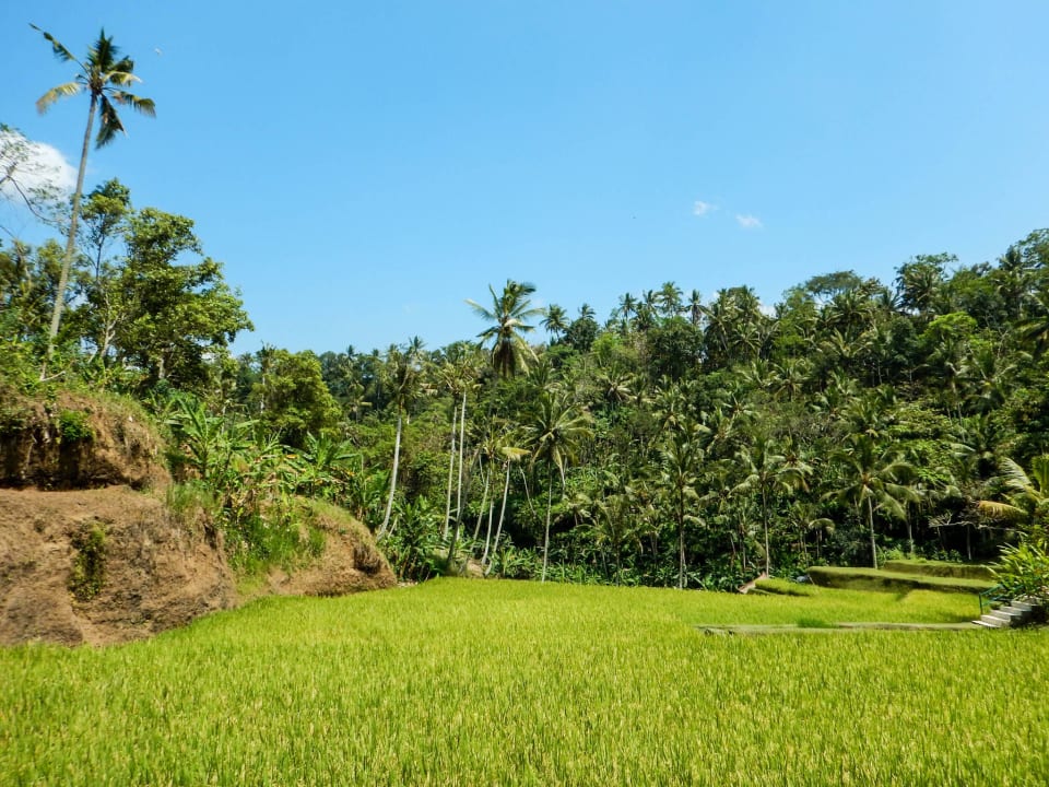 Gartenanlage Four Seasons Resort Bali at Sayan