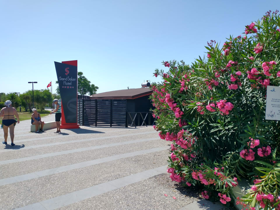 Sonstiges Grand Seker Hotel
