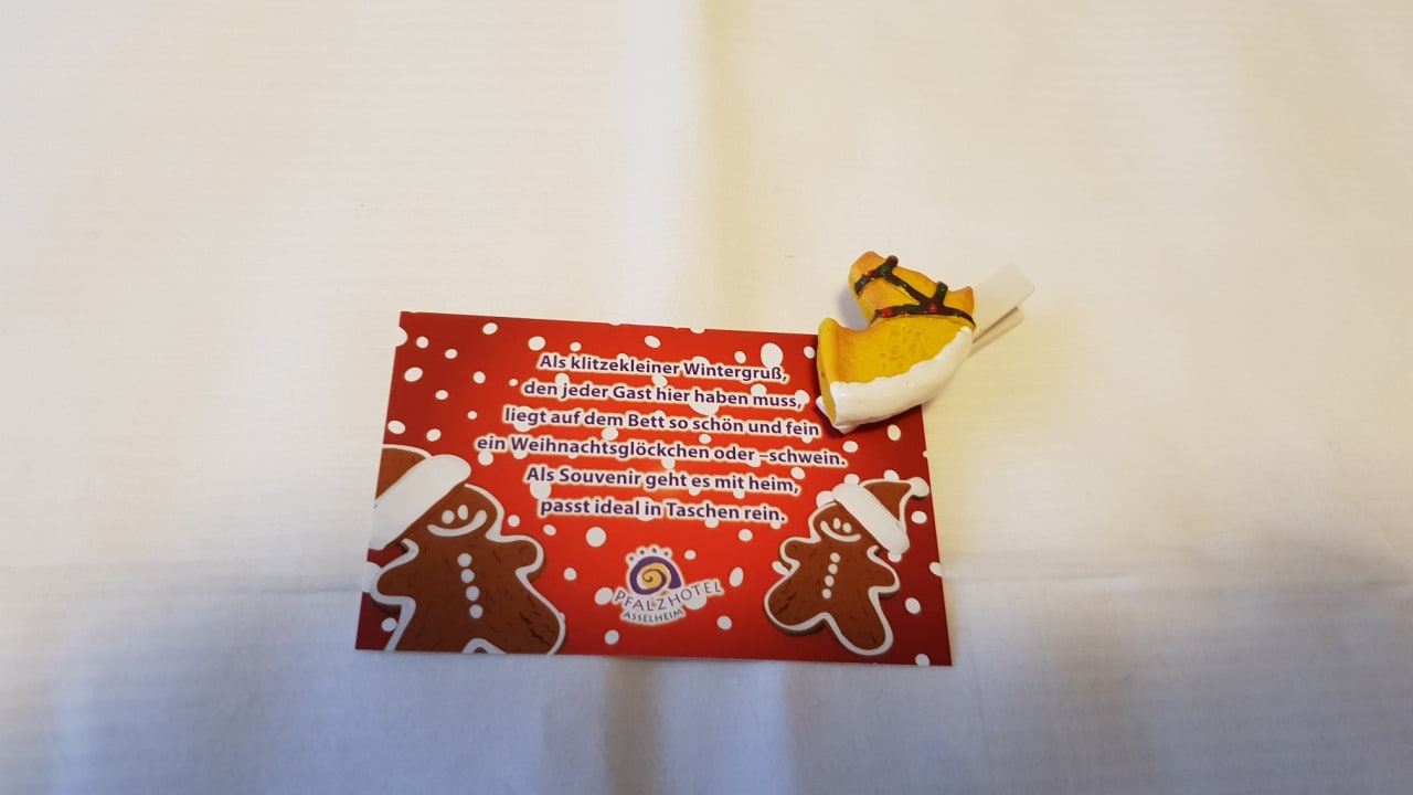 Zimmer Pfalzhotel Asselheim