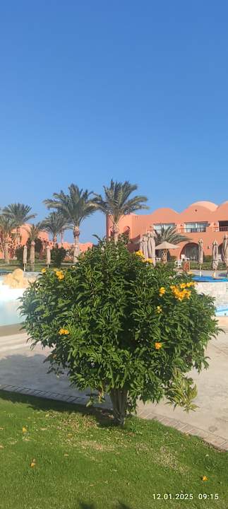 Gartenanlage Novotel Marsa Alam Beach Resort