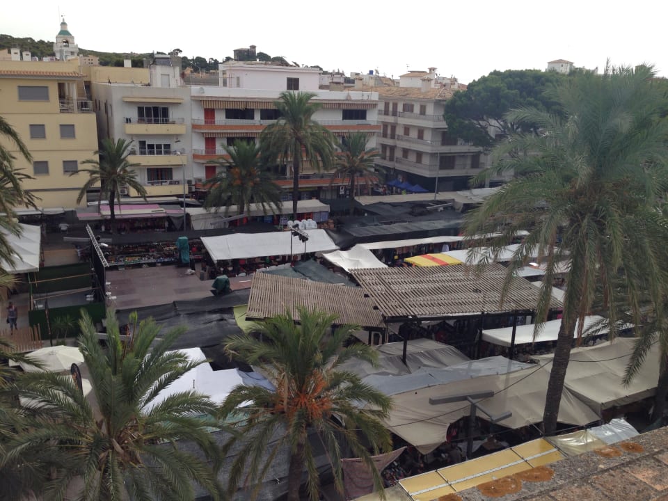 Blick auf den Pinienplatz Hotel Bella Mar