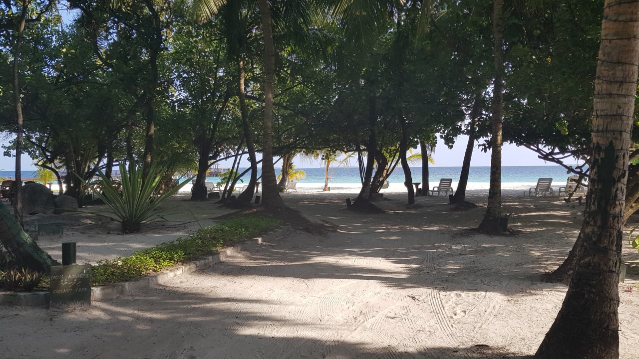 Gartenanlage Adaaran Select Meedhupparu Island Resort - Premium All Inclusive