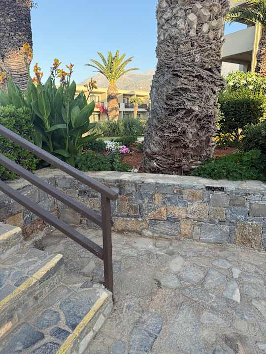 Gartenanlage allsun Hotel Malia Beach