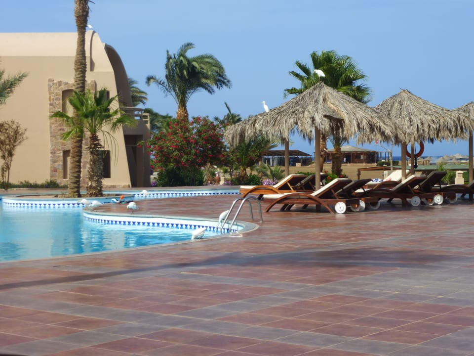Pool Shams Alam Beach Resort