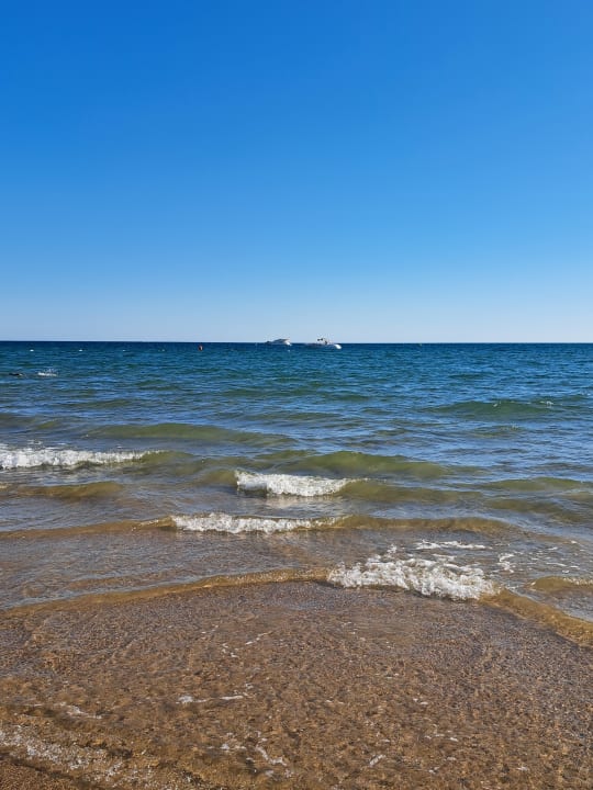 Strand Paloma Oceana