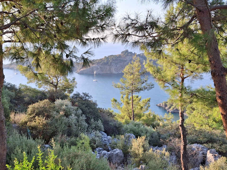 Ausblick TUI BLUE Seno - Adults Only