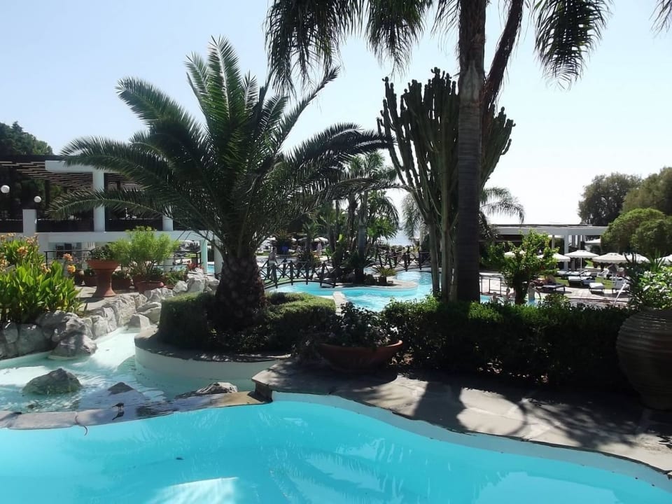 Pool Hotel Calypso Beach