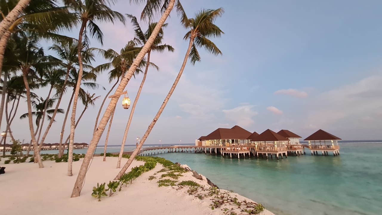 Gastro TUI BLUE Olhuveli Romance