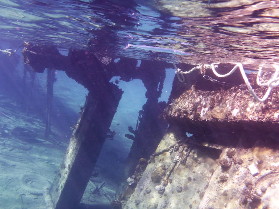 Strand Novotel Marsa Alam Beach Resort