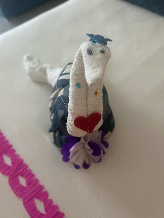 Zimmer Hotel Riu Latino - Adults Only