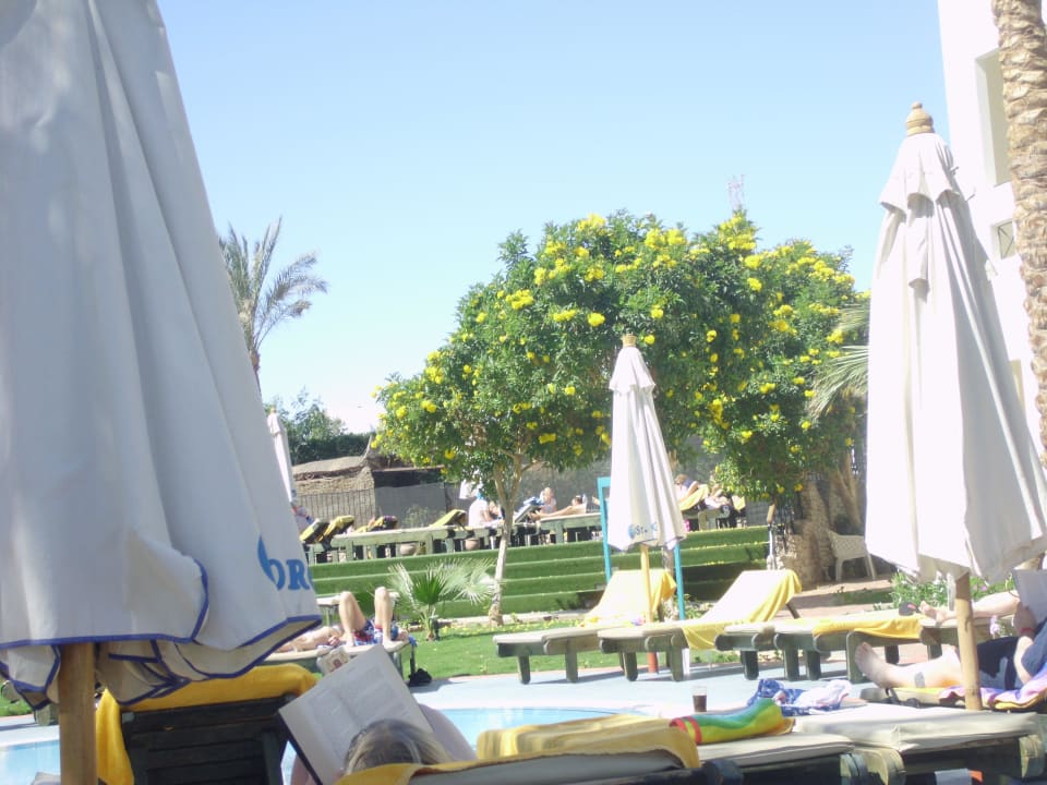 Liegewiese "obeb ohne " Xperience St. George Homestay