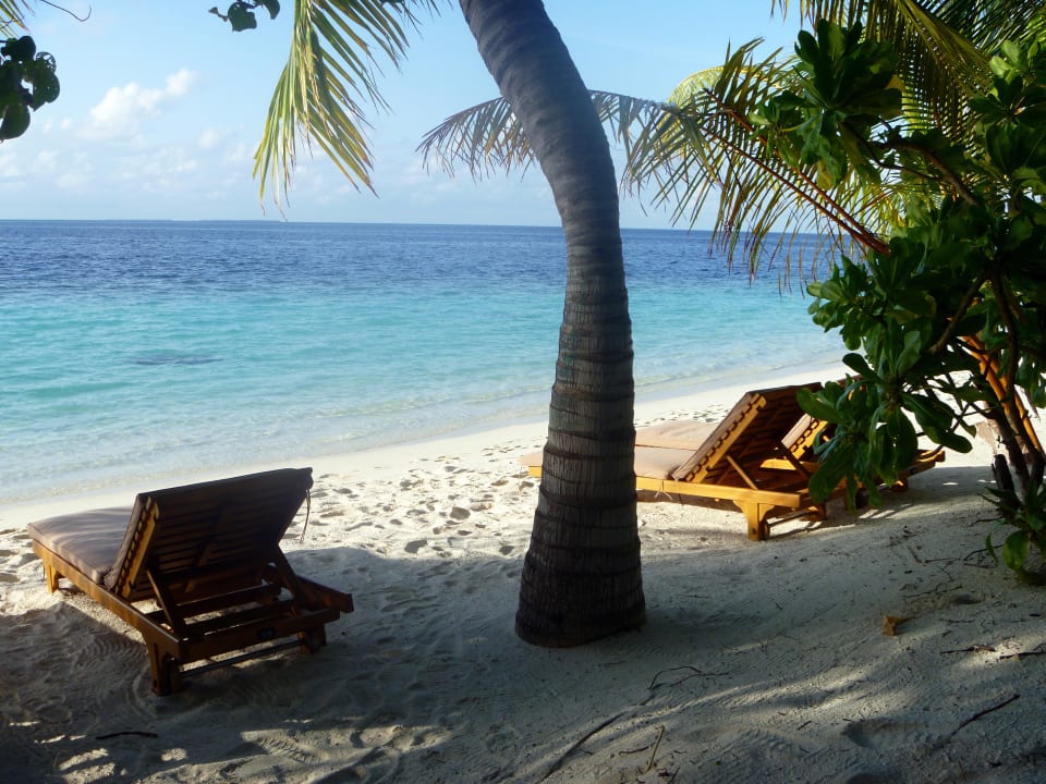 Beach Lily Beach Resort & Spa