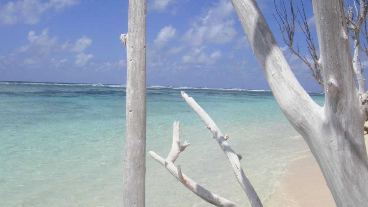 Фото с пляжа отеля Bird Island Seychelles - Private Island Villas