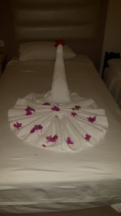 Zimmer Pickalbatros Aqua Vista Resort - Hurghada