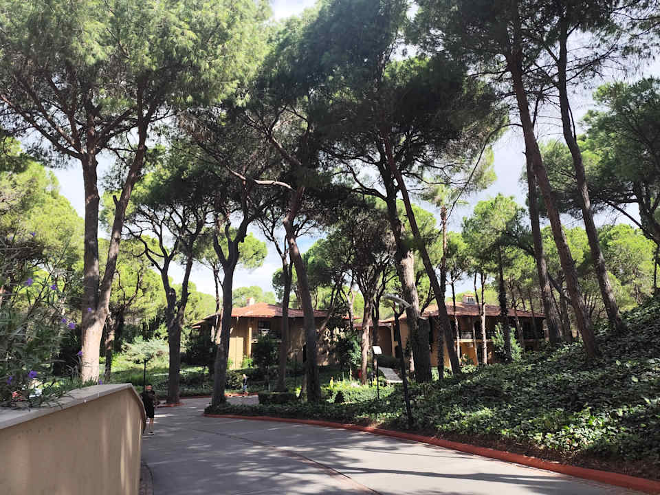 Ausblick Asteria Family Belek