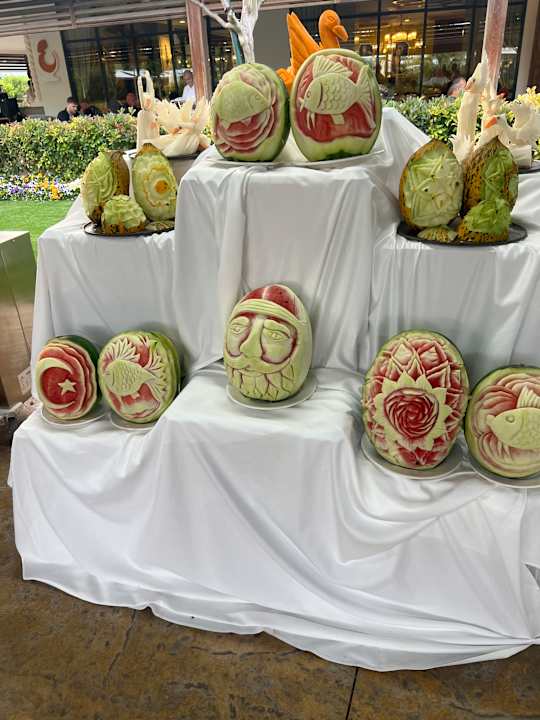 Gastro Adalya Elite Lara