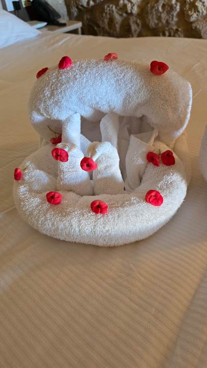 Zimmer Pickalbatros Citadel Resort