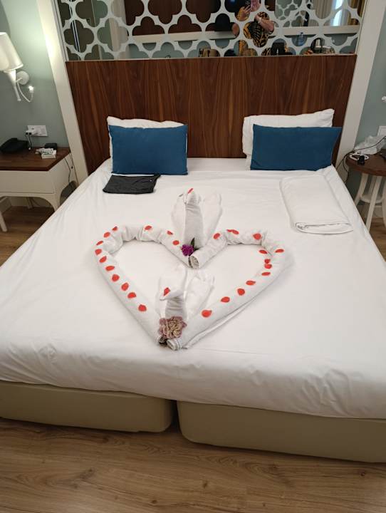 Zimmer Seashell Vega