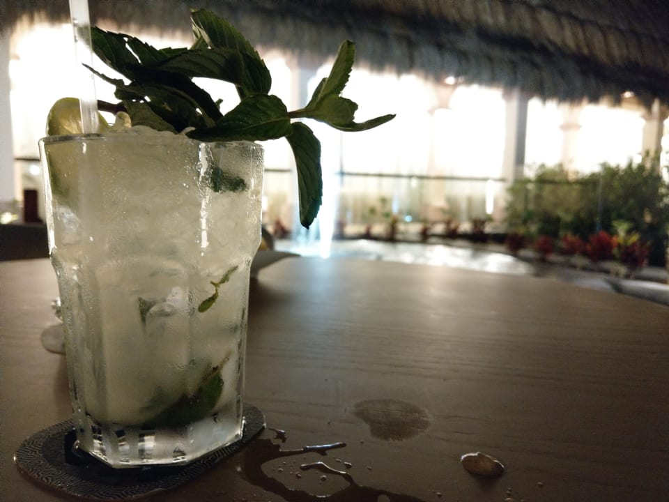 Mojito TRS Yucatan Hotel - Adults only