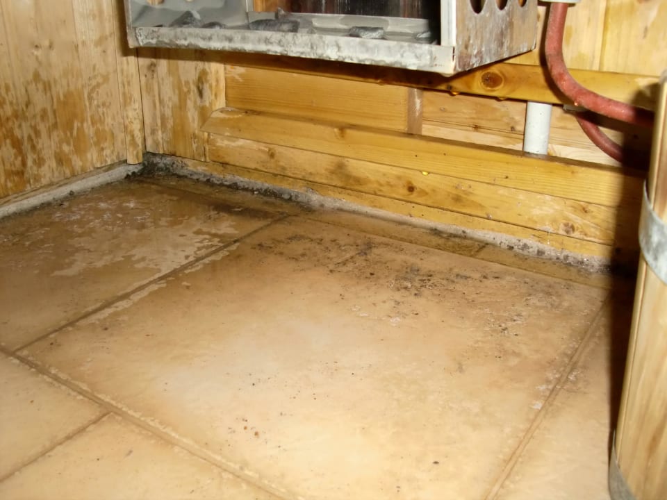 Bild Seehotel Waltershof im Malerwinkel