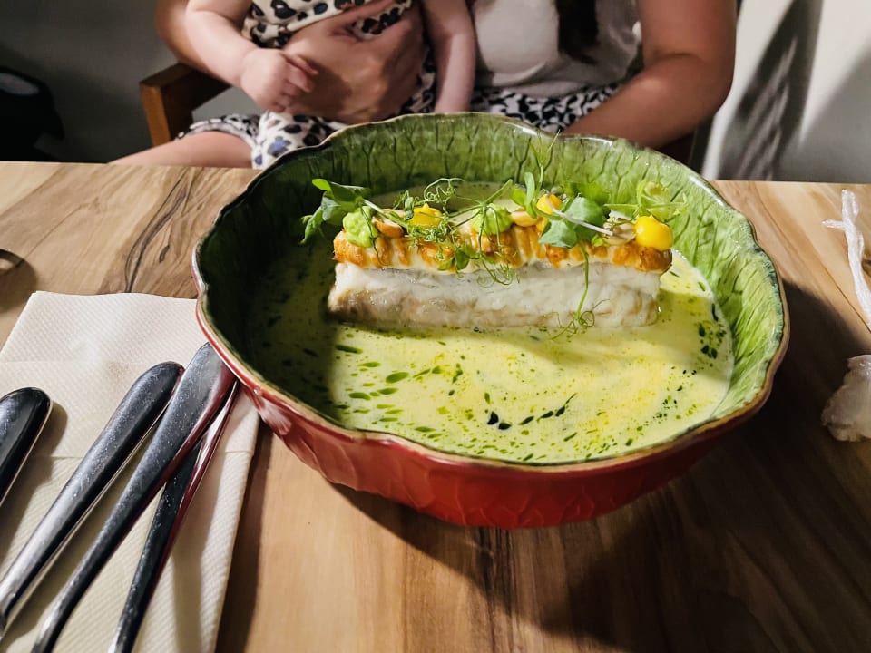 Gastro Acanthus Cennet Barut Collection