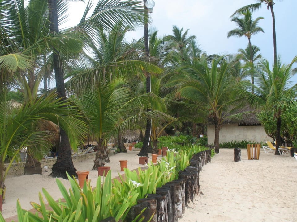Hotel Strand Iberostar Waves Punta Cana
