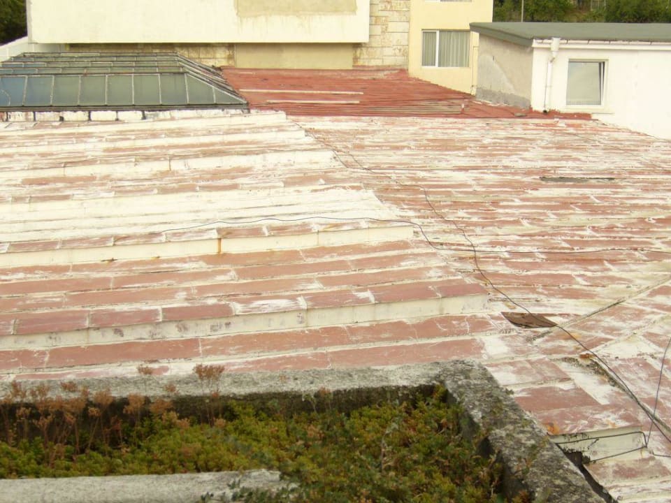 Aussicht Hotel Dahlia Garden