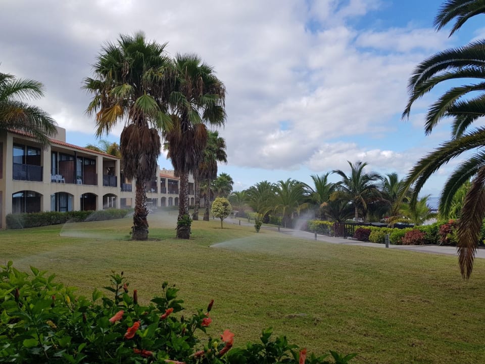 Gartenanlage La Palma Princess