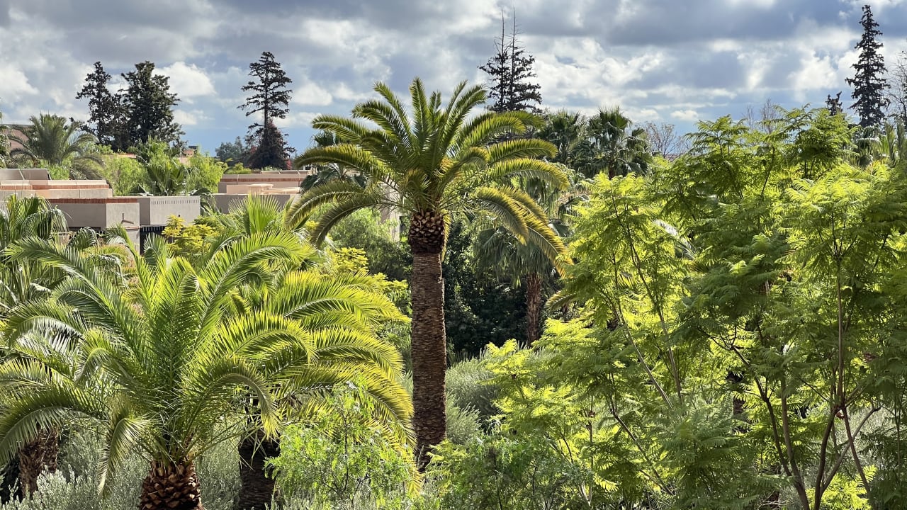 Gartenanlage Four Seasons Resort Marrakech