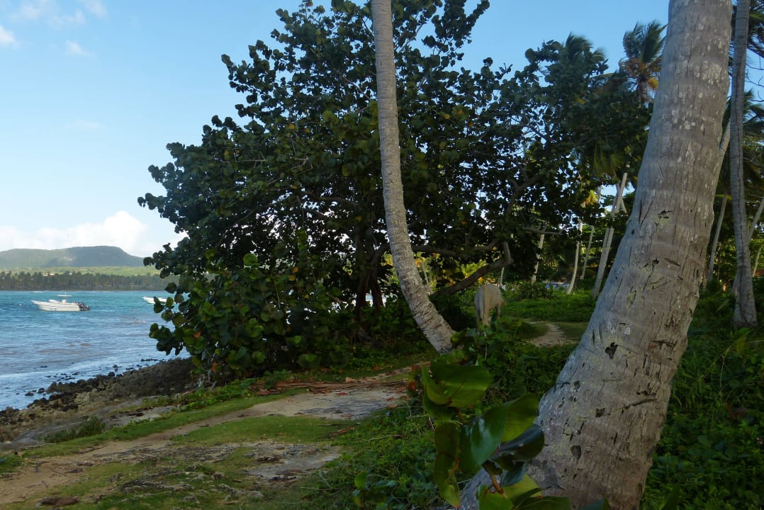 Weg zum Las Galeras Strand Villa Serena