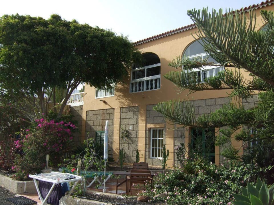 Finca Arico 2008 Finca Arico