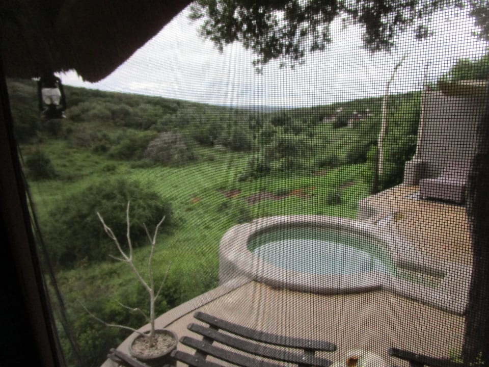 Zimmer Safari Lodge- Amakhala Game Reserve