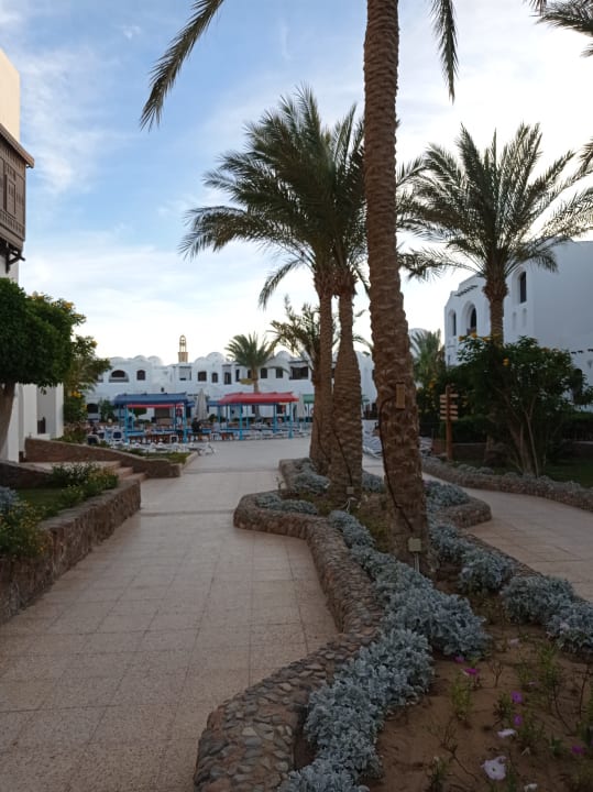 Gartenanlage Arabella Azur Resort