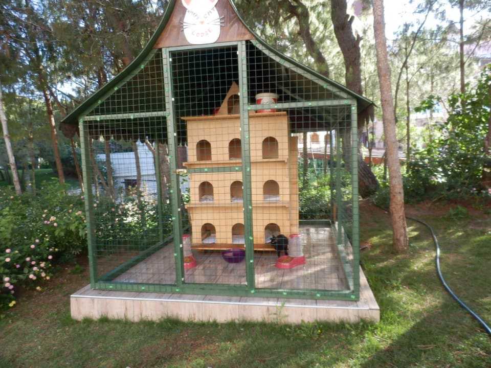 Katzenhaus superrrrrrrrrrr Sirene Belek Hotel