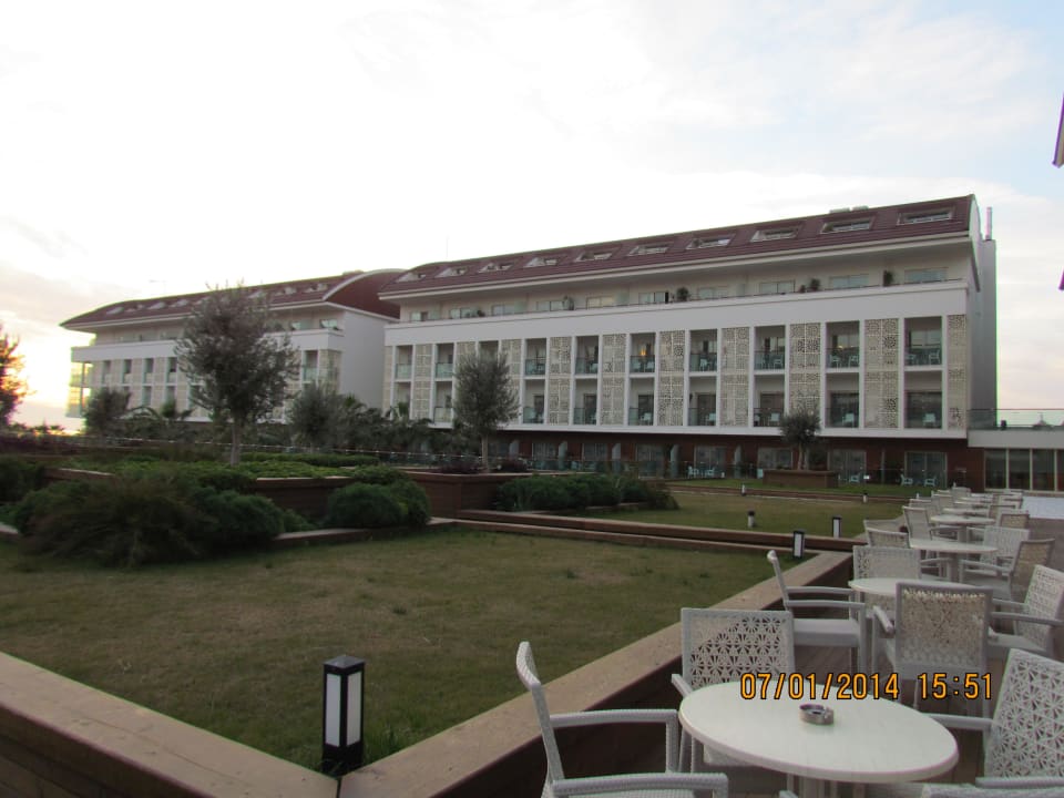 Trendy Verbena Sentido Trendy Verbena Beach