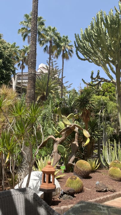 Gartenanlage Hotel Parque Tropical