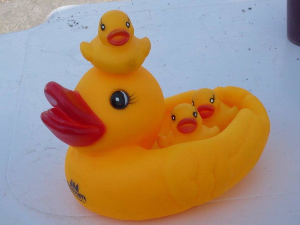 Ententreffen 2011 Labranda Alantur Resort