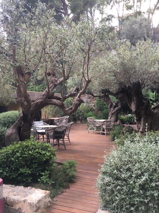 Gartenanlage Bikini Island & Mountain Hotel Port de Soller