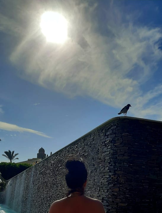 Sonstiges Makadi Spa - Adults only