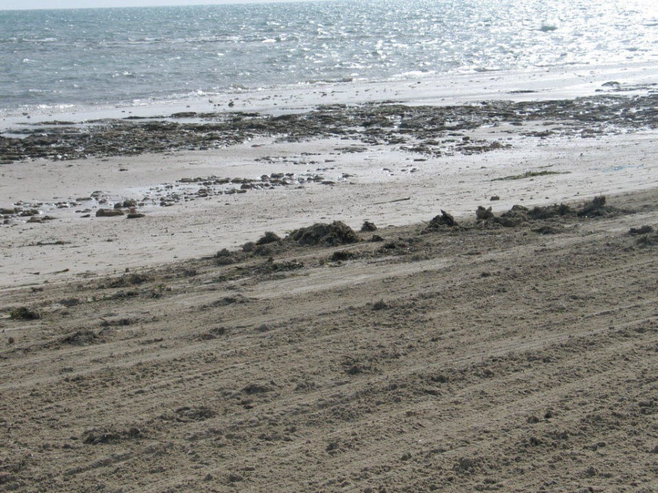 Strand dreckig Calimera Yati Beach