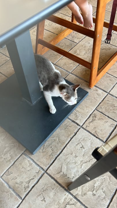 Gastro TUI KIDS CLUB Alex Beach