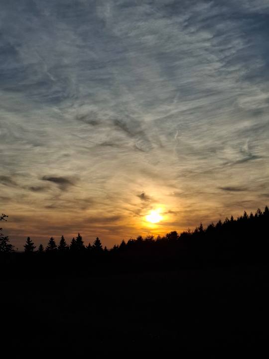 Sonstiges AHORN Waldhotel Altenberg