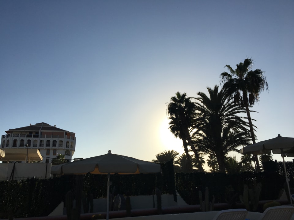 Ausblick H10 Las Palmeras