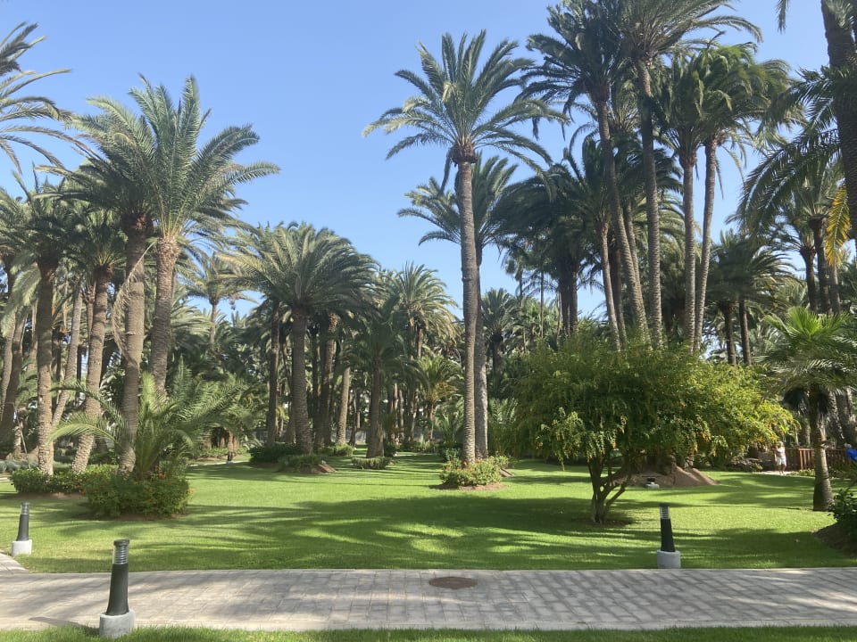 Gartenanlage Hotel Riu Palace Oasis