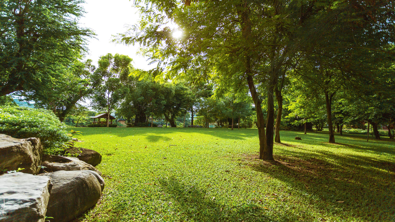 Gartenanlage Hotel Felix River Kwai