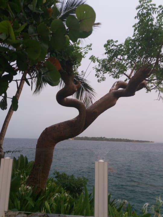 Ausblick Bahia Principe Grand Samana - Adults Only