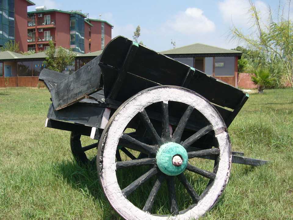 Sun Flipper Hotel Club Life Kizilot